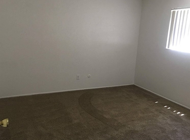 One bedroom room with carpet